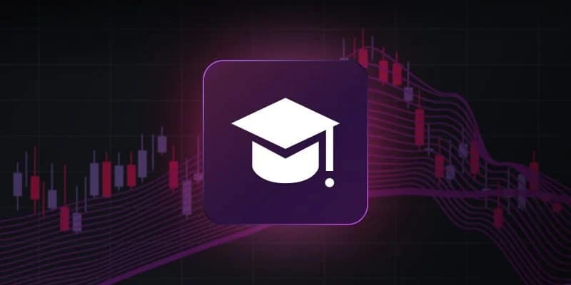 TradingView推出教育计划